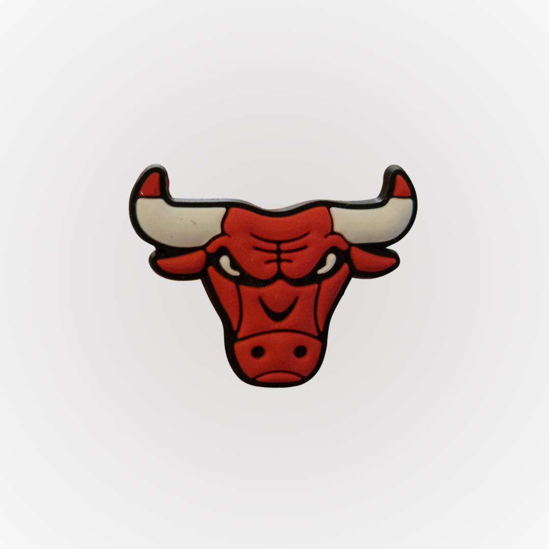 Chicago Bulls