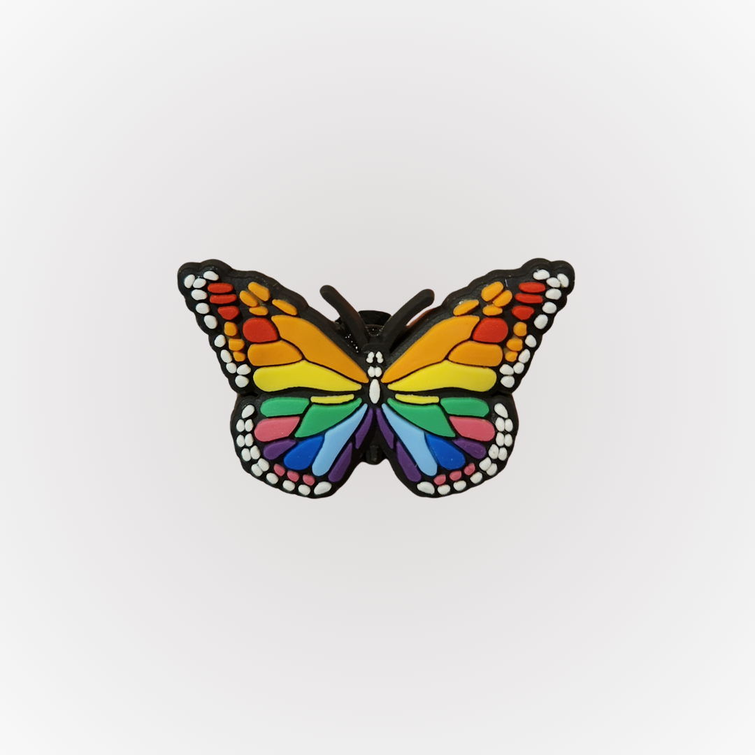 Rainbow Flutter